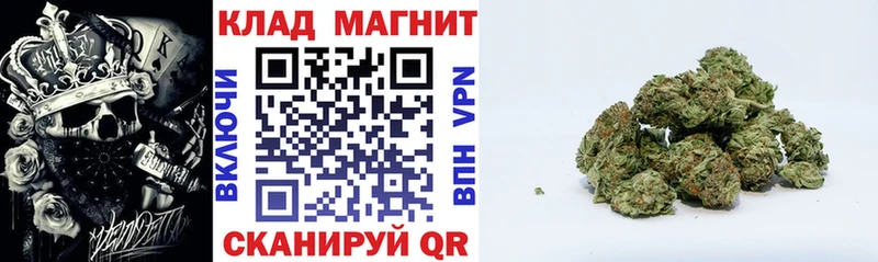 МЕТАДОН Полесск