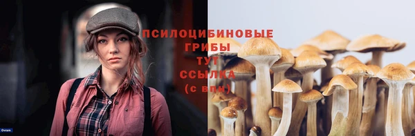 эйфоретик Белокуриха