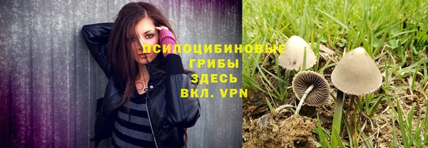 эйфоретик Белокуриха